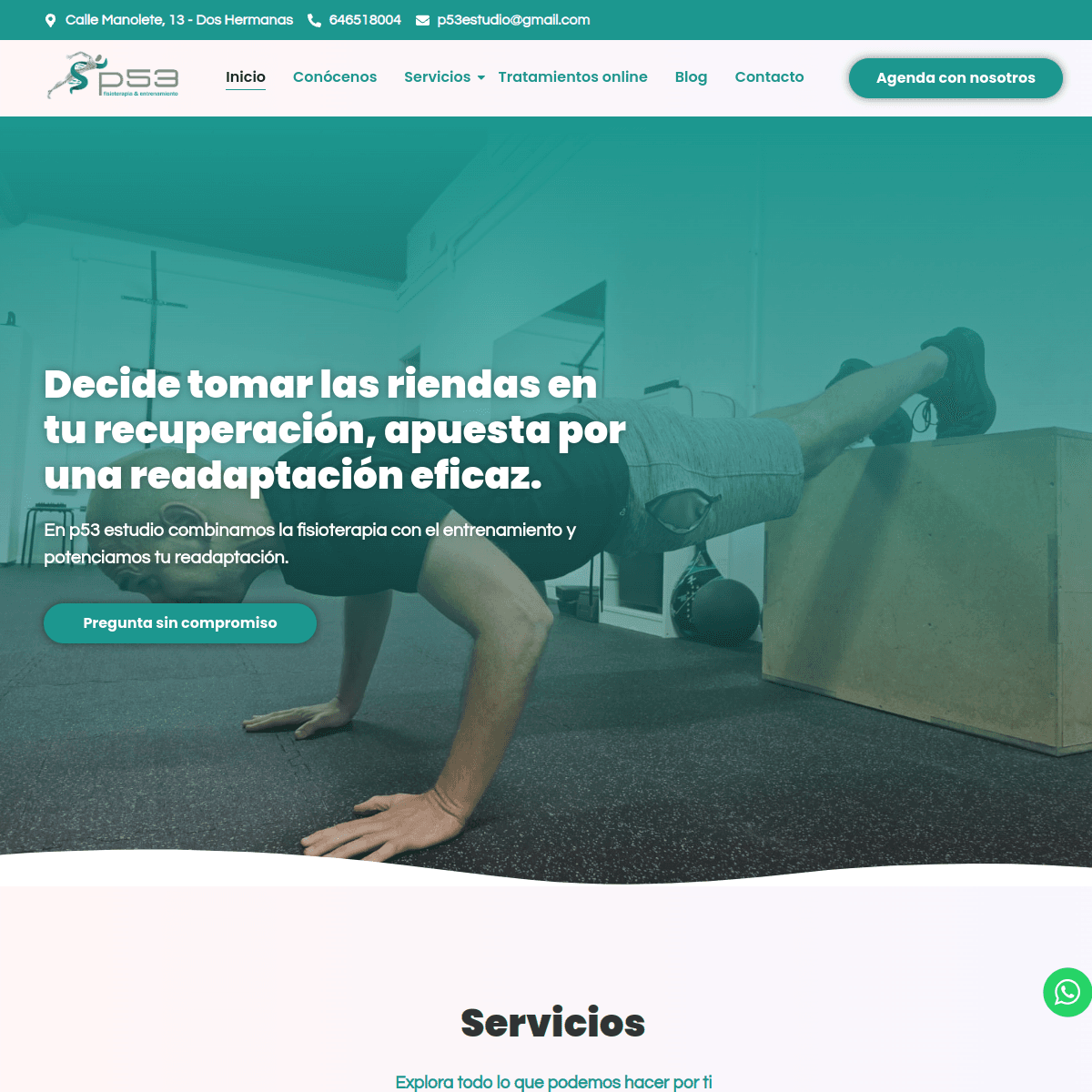 KitDigital P53 Estudio